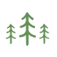 icon sapins
